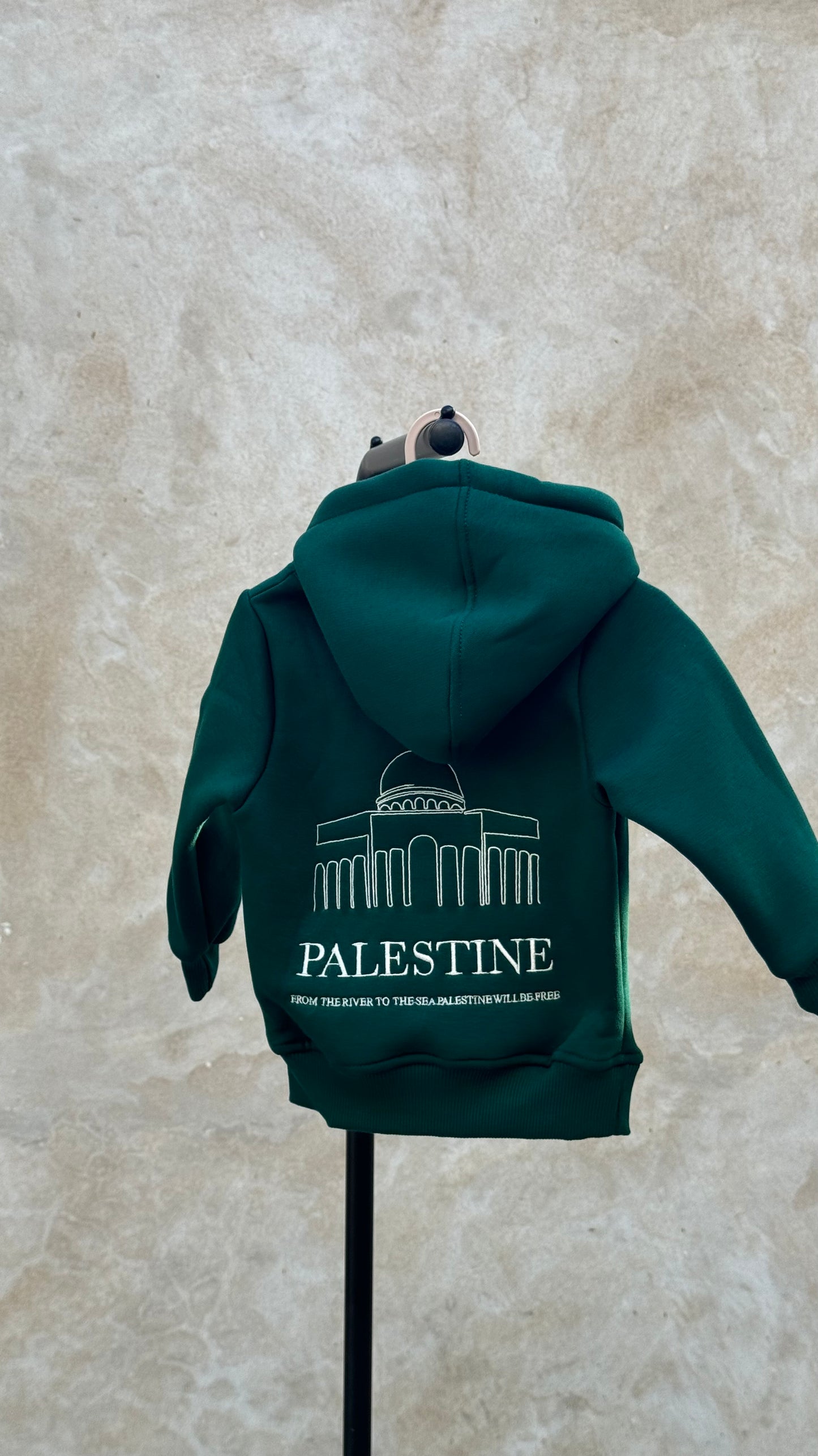 Palestine Kids Hoodie